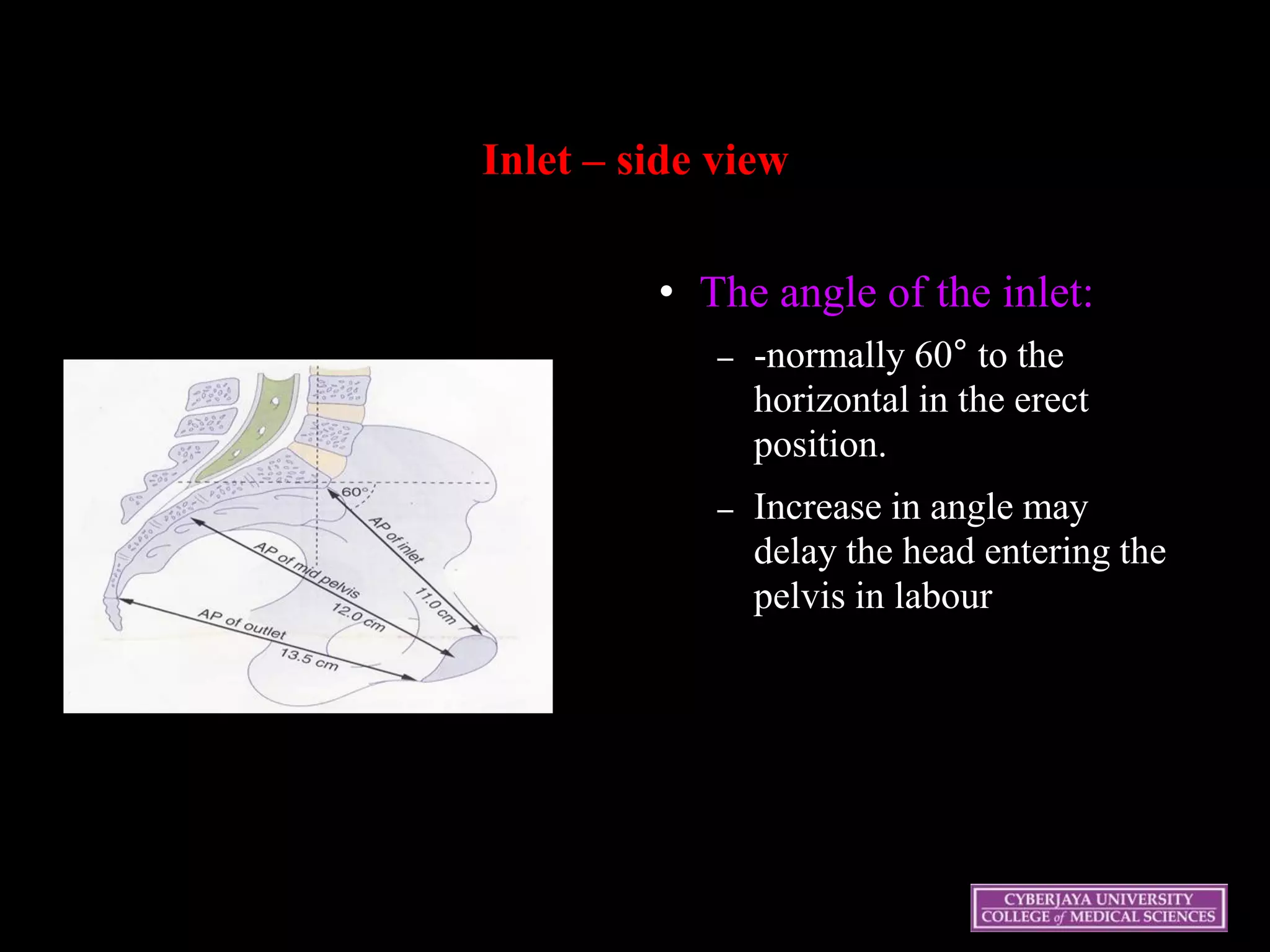 Inlet – side view
• The angle of the inlet:
– -normally 60° to the
horizontal in the erect
position.
– Increase in angle may
delay the head entering the
pelvis in labour
 