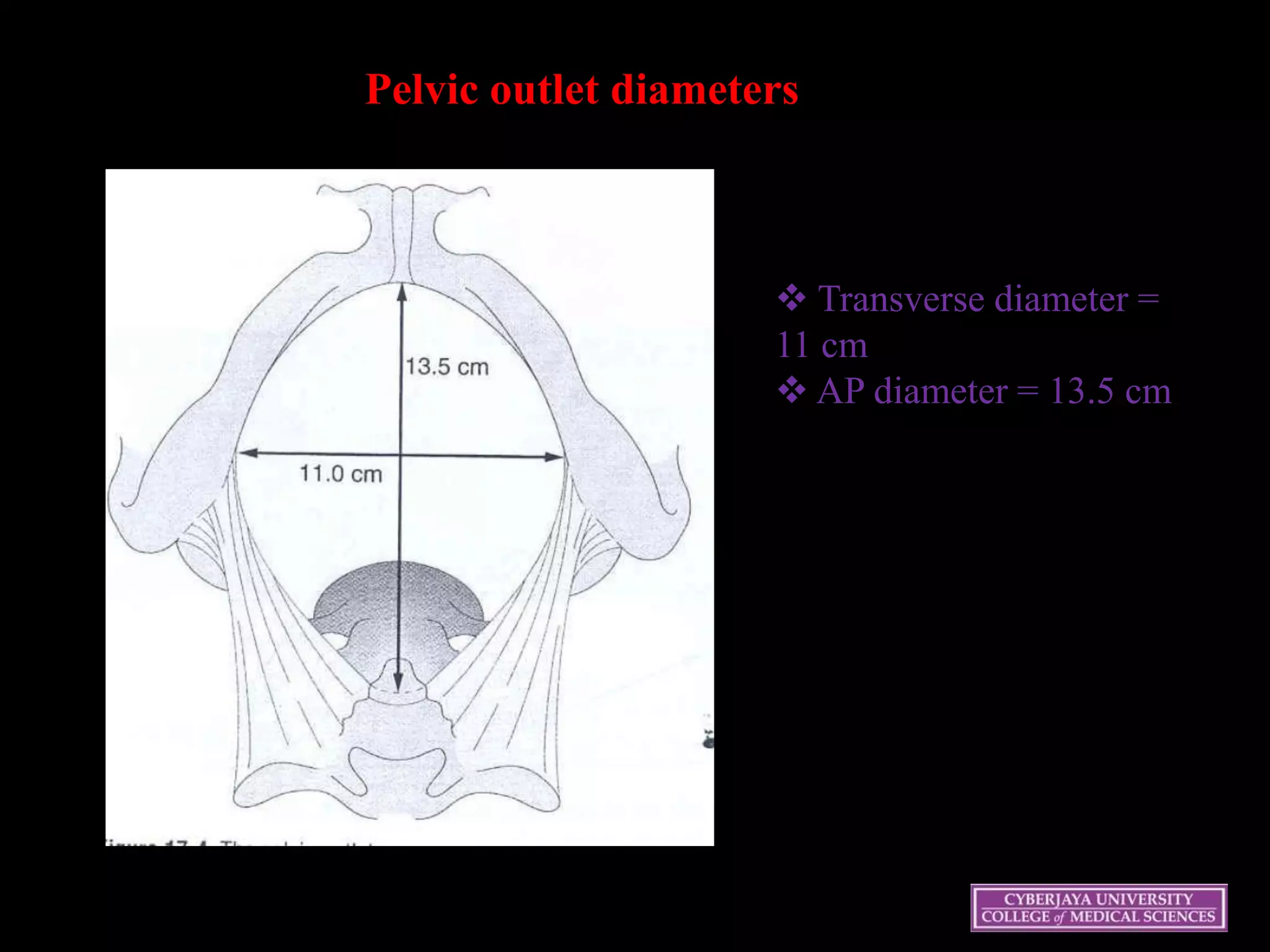 Pelvic outlet diameters
 Transverse diameter =
11 cm
 AP diameter = 13.5 cm
 