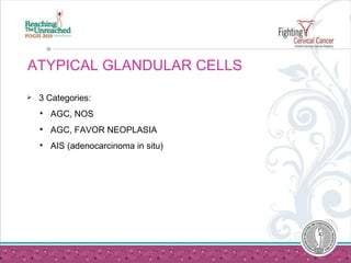 ATYPICAL GLANDULAR CELLS  3 Categories:  AGC, NOS AGC, FAVOR NEOPLASIA AIS (adenocarcinoma in situ) 