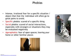 Examples of specific phobias
• Acrophobia - Fear of Heights
• Claustrophobia - Fear of Enclosed Spaces
• Nyctophobia - Fea...