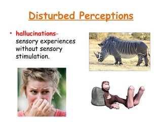 Disturbed Perceptions
• hallucinations-
sensory experiences
without sensory
stimulation.
 
