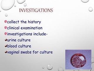 INVESTIGATIONS
collect the history
clinical examination
investigations include-
urine culture
blood culture
vaginal swabs for culture
 