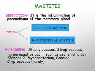 MASTITIS
DEFINITION- It is the inflammation of
parenchyma of the mammary gland
TYPES-
PATHOGENS- Staphylococcus, Streptococcus,
gram negative bacilli such as Escherichia coli,
Salmonella, Mycobacterium, Candida,
Cryptococcus (rarely)
PUERPERAL MASTITIS
NON PUERPERAL MASTITIS
 