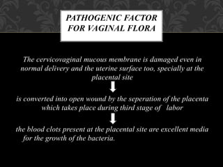 PATHOGENIC FACTOR
FOR VAGINAL FLORA
The cervicovaginal mucous membrane is damaged even in
normal delivery and the uterine surface too, specially at the
placental site
is converted into open wound by the seperation of the placenta
which takes place during third stage of labor
the blood clots present at the placental site are excellent media
for the growth of the bacteria.
 