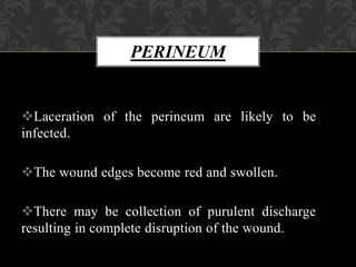 PERINEUM
Laceration of the perineum are likely to be
infected.
The wound edges become red and swollen.
There may be collection of purulent discharge
resulting in complete disruption of the wound.
 