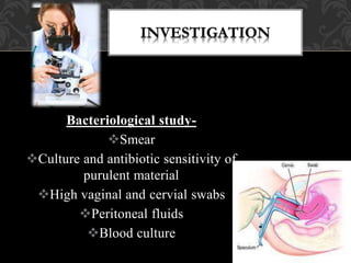 Bacteriological study-
Smear
Culture and antibiotic sensitivity of
purulent material
High vaginal and cervial swabs
Peritoneal fluids
Blood culture
 