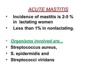 ACUTE MASTITIS
• Incidence of mastitis is 2-5 %
in lactating women
• Less than 1% in nonlactating.
• Organisms involved are...
• Streptococcus aureus,
• S. epidermidis and
• Streptococci viridans
 