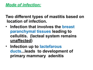Mode of infection:
Two different types of mastitis based on
location of infection.
• Infection that involves the breast
paranchymal tissues leading to
cellulitis. (lacteal system remains
unaffected)
• Infection up to lactefarous
ducts...leads to development of
primary mammary adenitis
 