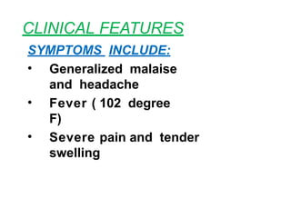 CLINICAL FEATURES
SYMPTOMS INCLUDE:
• Generalized malaise
and headache
• Fever ( 102 degree
F)
• Severe pain and tender
swelling
 
