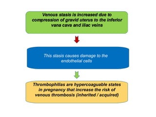This stasis causes damage to the
endothelial cells
Thrombophilias are hypercoaguable states
in pregnancy that increase the risk of
venous thrombosis (inherited / acquired)
 