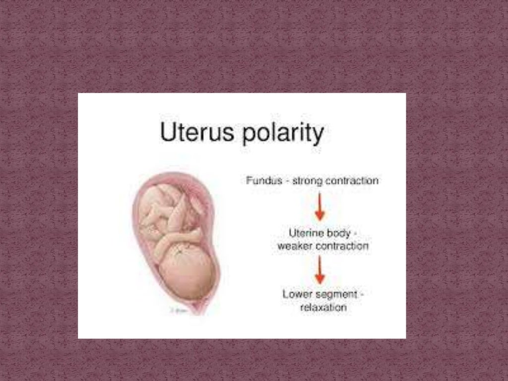 Abnormal uterine action
