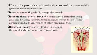 The uterine pacemaker is situated at the cornua of the uterus and this
generates uterine contractions.
Starts at cornua  gradually sweeps downwards.
Primary dysfunctional labor  uterine activity instead of being
governed by a single dominant pacemaker, is shifted to less efficient
contractions due to emergence of other pacemaker foci.
Oxytocin therapy may be effective in restoring
the global and effective uterine contractions.
 