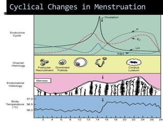Cyclical Changes in Menstruation
 