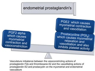 endometrial prostaglandin's
Vasculature imbalance between the vasoconstricting actions of
prostaglandin F2α and thromboxane A2 and the vasodilating actions of
prostaglandin E2 and prostacyclin on the myometrial and endometrial
vasculature
 