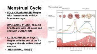 Menstrual Cycle
• FOLLICULAR PHASE: Begins
with menses ends with LH
hormone surge
• OVULATION PHASE: 30 to 36
hrs. Begins with LH surge and
end with OVULATION
• LUTEAL PHASE:14 days.
Begins with the end of the LH
surge and ends with onset of
menses
• MENSTRUAL PHASE
 
