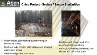 Chico Project - Seabee / Santoy Similarities
• Shear hosted gold bearing quartz veining in
secondary splays
• Multi-episodic tension gash, ribbon and sheeted
quartz vein arrays
• Gabbro and granite host rocks
• Positive gold, copper and silver
geochemical associations
• Potassic, carbonate, hematite, calc-
silicate and silica alteration
 