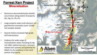 Forrest Kerr Project
Mineralization
• Numerous documented poly-metallic
occurrences along extent of property
(Au, Ag, Cu, Pb, Zn)
• Large property wide multi-element soil
geochemical anomalies (over 10,000
soil samples tested)
• Several historic localized high grade
drill intersections
• Evidence for wide range of
mineralization styles including Au-Ag
rich VMS, epithermal veins, intrusion
related vein systems and potential for
Alkalic Cu-Au porphyry in the north
portion of property 12
 