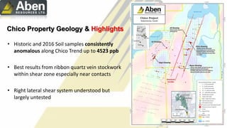 Chico Property Geology & Highlights
• Historic and 2016 Soil samples consistently
anomalous along Chico Trend up to 4523 ppb
• Best results from ribbon quartz vein stockwork
within shear zone especially near contacts
• Right lateral shear system understood but
largely untested
 