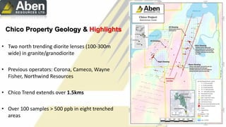 Chico Property Geology & Highlights
• Two north trending diorite lenses (100-300m
wide) in granite/granodiorite
• Previous operators: Corona, Cameco, Wayne
Fisher, Northwind Resources
• Chico Trend extends over 1.5kms
• Over 100 samples > 500 ppb in eight trenched
areas
 