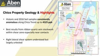 Chico Property Geology & Highlights
• Historic and 2016 Soil samples consistently
anomalous along Chico Trend up to 4523 ppb
• Best results from ribbon quartz vein stockwork
within shear zone especially near contacts
• Right lateral shear system understood but
largely untested
 