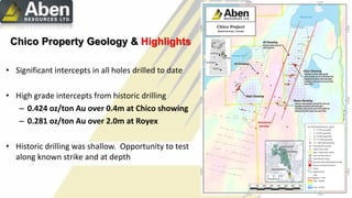 Chico Property Geology & Highlights
• Significant intercepts in all holes drilled to date
• High grade intercepts from historic drilling
– 0.424 oz/ton Au over 0.4m at Chico showing
– 0.281 oz/ton Au over 2.0m at Royex
• Historic drilling was shallow. Opportunity to test
along known strike and at depth
 