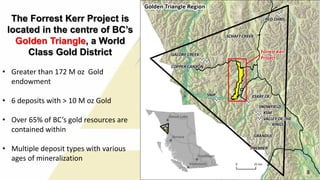 The Forrest Kerr Project is
located in the centre of BC’s
Golden Triangle, a World
Class Gold District
• Greater than 172 M oz Gold
endowment
• 6 deposits with > 10 M oz Gold
• Over 65% of BC’s gold resources are
contained within
• Multiple deposit types with various
ages of mineralization
9 8
 