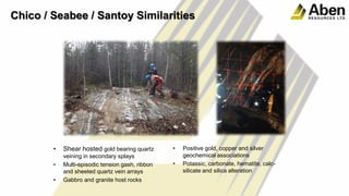 Chico / Seabee / Santoy Similarities
• Shear hosted gold bearing quartz
veining in secondary splays
• Multi-episodic tension gash, ribbon
and sheeted quartz vein arrays
• Gabbro and granite host rocks
• Positive gold, copper and silver
geochemical associations
• Potassic, carbonate, hematite, calc-
silicate and silica alteration
 