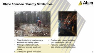 Chico / Seabee / Santoy Similarities
• Shear hosted gold bearing quartz
veining in secondary splays
• Multi-episodic tension gash,
ribbon and sheeted quartz vein
arrays
• Gabbro and granite host rocks
• Positive gold, copper and silver
geochemical associations
• Potassic, carbonate, hematite,
calc-silicate and silica alteration
20
 