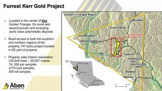 • Located in the center of this
Golden Triangle. On trend with
several proven and emerging
world class polymetallic deposits
• Road access to both the southern
and northern regions of the
property: FK hydro project located
in SE part of property
• Property wide historic exploration
130 drill holes – 20,057 metres
19, 358 soil samples
2175 rock samples
500 silt samples
12
Forrest Kerr Gold Project
 