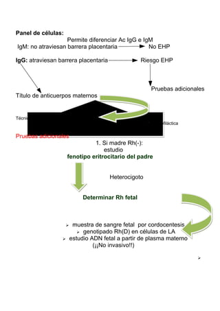 Panel de células:
                   Permite diferenciar Ac IgG e IgM
IgM: no atraviesan barrera placentaria            No EHP

IgG: atraviesan barrera placentaria                               Riesgo EHP



                                                                        Pruebas adicionales
Título de anticuerpos maternos


Técnica de Coombs indirectoTítulos ≥ 1/16
            : posible afectación fetal Positividad transitoria de Ig anti-Dprofiláctica


Pruebas adicionales
                                       1. Si madre Rh(-):
                                           estudio
                             fenotipo eritrocitario del padre


                                                  Heterocigoto


                                   Determinar Rh fetal



                              muestra de sangre fetal por cordocentesis
                                  genotipado Rh(D) en células de LA
                             estudio ADN fetal a partir de plasma materno
                                       (¡¡No invasivo!!)

                                                                                          
 