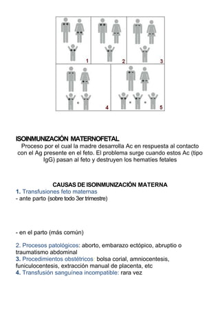 ISOINMUNIZACIÓN MATERNOFETAL
 Proceso por el cual la madre desarrolla Ac en respuesta al contacto
con el Ag presente en el feto. El problema surge cuando estos Ac (tipo
          IgG) pasan al feto y destruyen los hematíes fetales



               CAUSAS DE ISOINMUNIZACIÓN MATERNA
1. Transfusiones feto maternas
- ante parto (sobre todo 3er trimestre)




- en el parto (más común)

2. Procesos patológicos: aborto, embarazo ectópico, abruptio o
traumatismo abdominal
3. Procedimientos obstétricos: bolsa corial, amniocentesis,
funiculocentesis, extracción manual de placenta, etc
4. Transfusión sanguínea incompatible: rara vez
 
