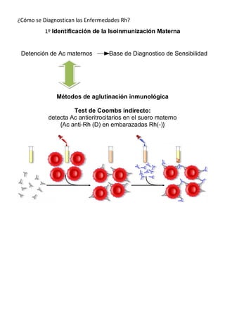 ¿Cómo se Diagnostican las Enfermedades Rh?
          1º Identificación de la Isoinmunización Materna


 Detención de Ac maternos         Base de Diagnostico de Sensibilidad




              Métodos de aglutinación inmunológica

                    Test de Coombs indirecto:
           detecta Ac antieritrocitarios en el suero materno
               {Ac anti-Rh (D) en embarazadas Rh(-)}
 