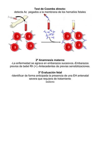 Test de Coombs directo:
   detecta Ac pegados a la membrana de los hematíes fetales




                     2º Anamnesis materna
 -La enfermedad se agrava en embarazos sucesivos.-Embarazos
previos de bebé Rh (+).-Antecedentes de previas sensibilizaciones.

                         3º Evaluación fetal
 -Identificar de forma anticipada la presencia de una EH antenatal
                  severa que requiera de tratamiento
                               inútero
 