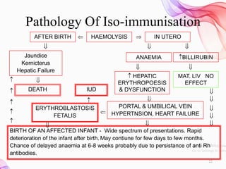 ABO-Rh Isoimmunisation in that The Basics of Blood, antibody can Be ...