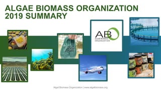 ALGAE BIOMASS ORGANIZATION
2019 SUMMARY
Algal Biomass Organization | www.algalbiomass.org
 
