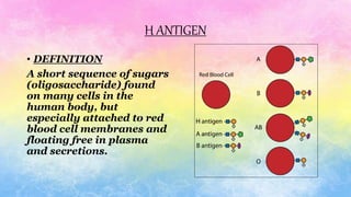 H ANTIGEN
• DEFINITION
A short sequence of sugars
(oligosaccharide) found
on many cells in the
human body, but
especially attached to red
blood cell membranes and
floating free in plasma
and secretions.