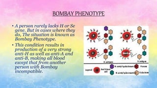 BOMBAY PHENOTYPE