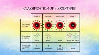 CLASSIFICATION OF BLOOD TYPES