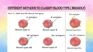 DIFFERENT METHODS TO CLASSIFY BLOODTYPE ( BROADLY)