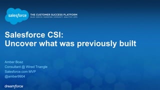 Salesforce CSI: 
Uncover what was previously built 
Amber Boaz 
Consultant @ Wired Triangle 
Salesforce.com MVP 
@amber9904 
 