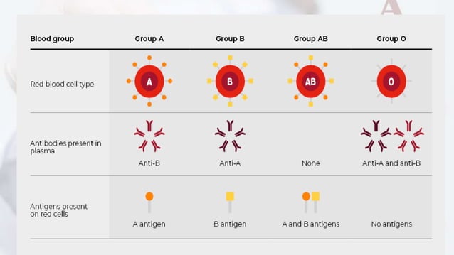 ABO blood.pptx | Blood Disorders | Diseases and Conditions