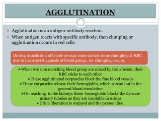 AGGLUTINATION
 Agglutination is an antigen-antibody reaction.
 When antigen reacts with specific antibody, then clumping or
agglutination occurs in red cells.
During transfusion of blood we may come across some clumping of RBC
due to incorrect diagnosis of blood group , so clumping occurs.
When two non matching blood group are mixed by transfusion ,their
RBC sticks to each other
These agglutinated corpuscles block the fine blood vessels
These corpuscles release their hemoglobin, which spread out in the
general blood circulation
On reaching to the kidneys these hemoglobin blocks the delicate
urinary tubules as they are insoluble in urines
Urine liberation is stopped and the person dies .
 