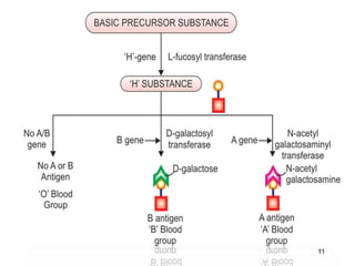 ABO Blood group by Dr. Aryan | PPTX