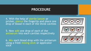 PROCEDURE
4. With the help of sterile lancet or
pricker, pierce the fingertip and place one
drop of blood in each of the three cavities
5. Now add one drop of each of the
antiserum into each cavities respectively
6. Mix each blood drop with the antiserum
using a fresh mixing stick or applicator
stick
 
