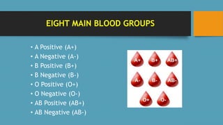 EIGHT MAIN BLOOD GROUPS
• A Positive (A+)
• A Negative (A-)
• B Positive (B+)
• B Negative (B-)
• O Positive (O+)
• O Negative (O-)
• AB Positive (AB+)
• AB Negative (AB-)
 