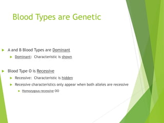 Blood Types are Genetic 
 A and B Blood Types are Dominant 
 Dominant: Characteristic is shown 
 Blood Type O is Recessive 
 Recessive: Characteristic is hidden 
 Recessive characteristics only appear when both alleles are recessive 
 Homozygous recessive OO 
 