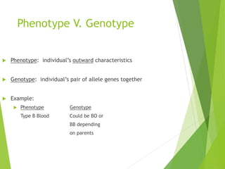 Phenotype V. Genotype 
 Phenotype: individual’s outward characteristics 
 Genotype: individual’s pair of allele genes together 
 Example: 
 Phenotype Genotype 
Type B Blood Could be BO or 
BB depending 
on parents 
 