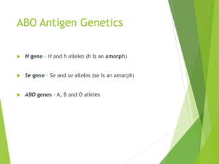 ABO Antigen Genetics 
 H gene – H and h alleles (h is an amorph) 
 Se gene – Se and se alleles (se is an amorph) 
 ABO genes – A, B and O alleles 
 