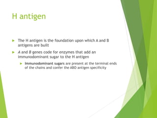 H antigen 
 The H antigen is the foundation upon which A and B 
antigens are built 
 A and B genes code for enzymes that add an 
immunodominant sugar to the H antigen 
 Immunodominant sugars are present at the terminal ends 
of the chains and confer the ABO antigen specificity 
 