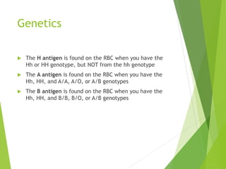 Genetics 
 The H antigen is found on the RBC when you have the 
Hh or HH genotype, but NOT from the hh genotype 
 The A antigen is found on the RBC when you have the 
Hh, HH, and A/A, A/O, or A/B genotypes 
 The B antigen is found on the RBC when you have the 
Hh, HH, and B/B, B/O, or A/B genotypes 
 